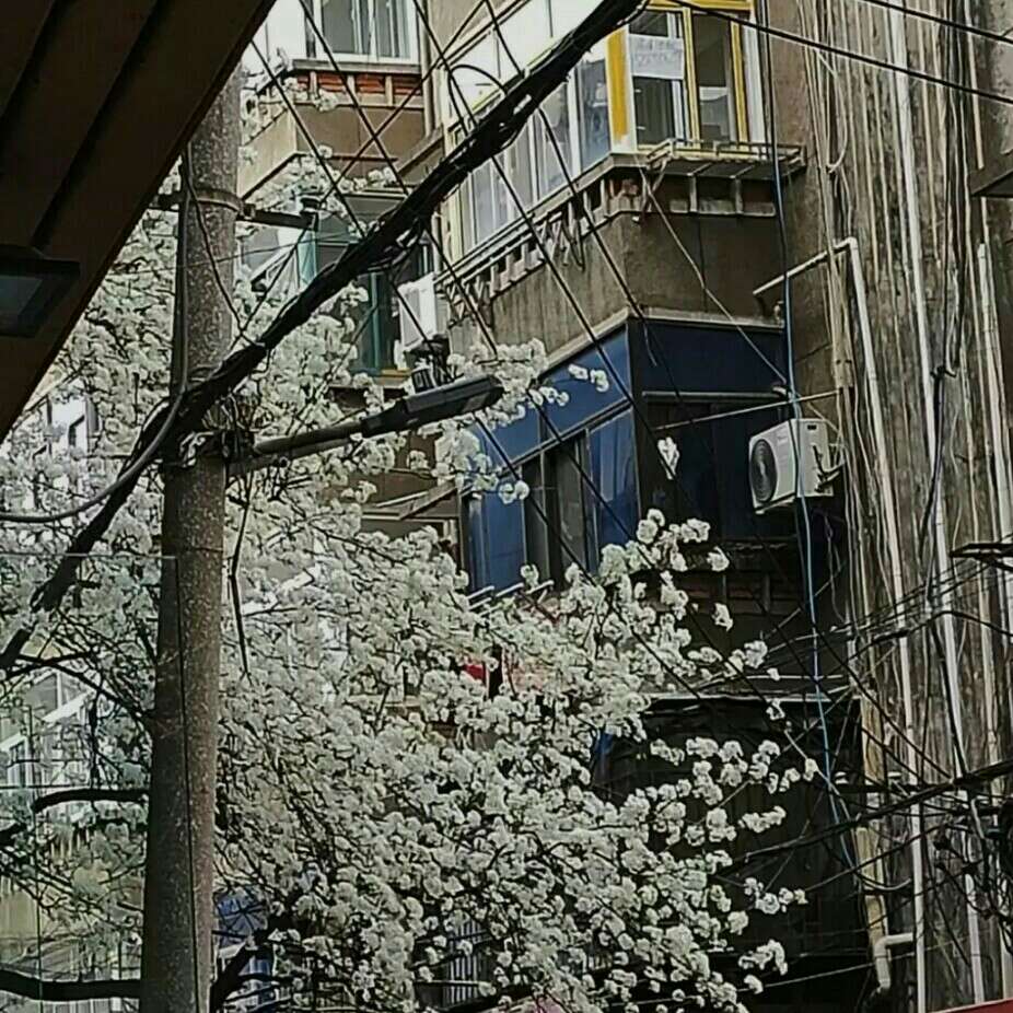 文案