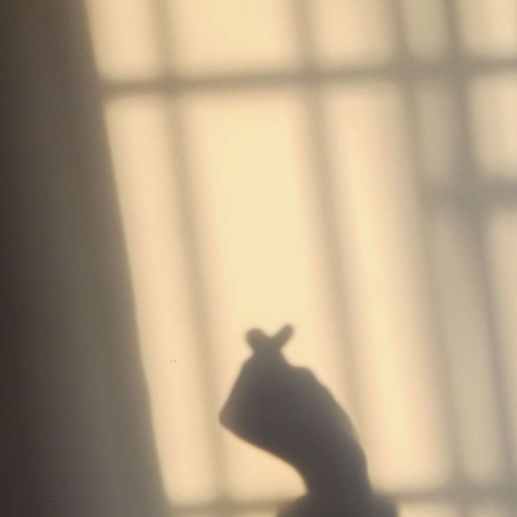 后来