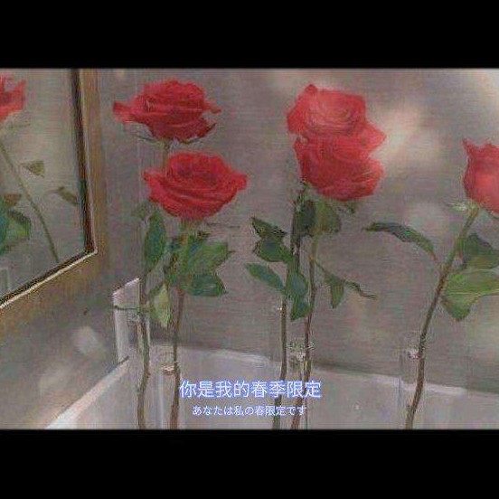 玫瑰色欣欣