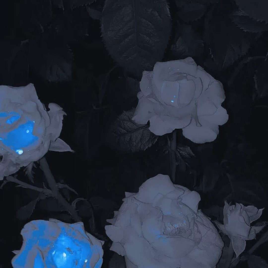 杂