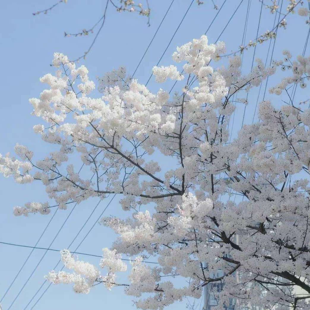 来日漫慢