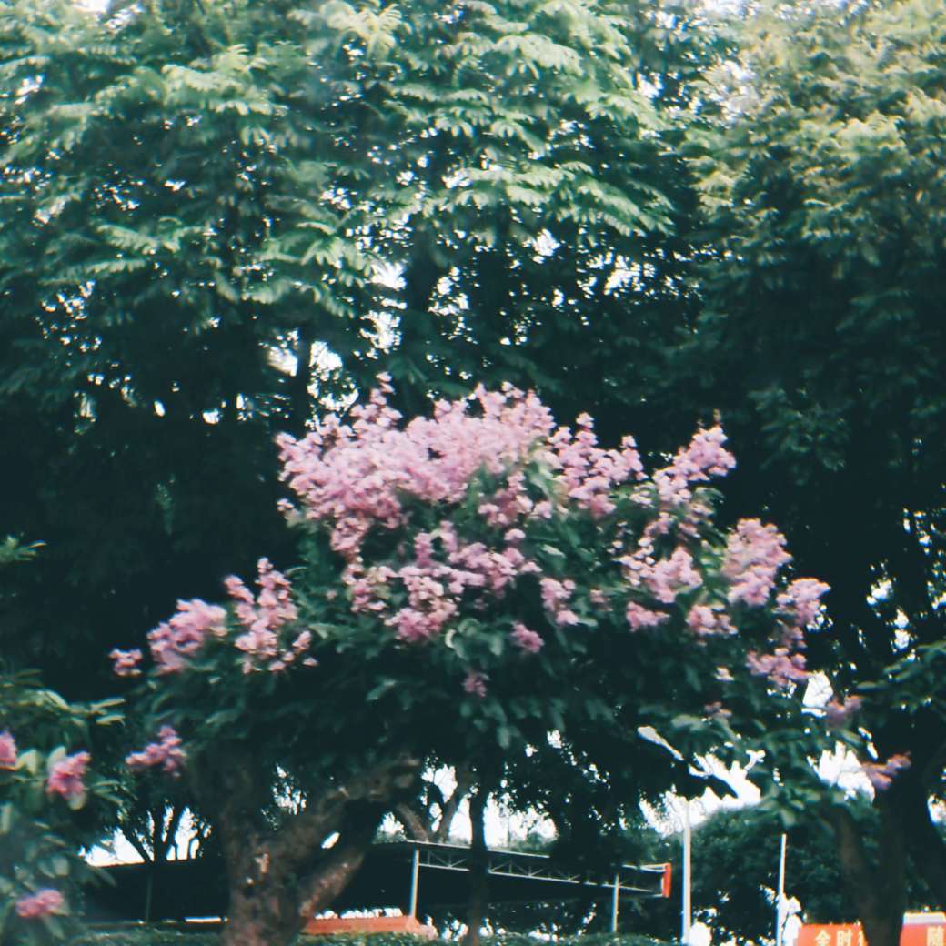 零零碎碎