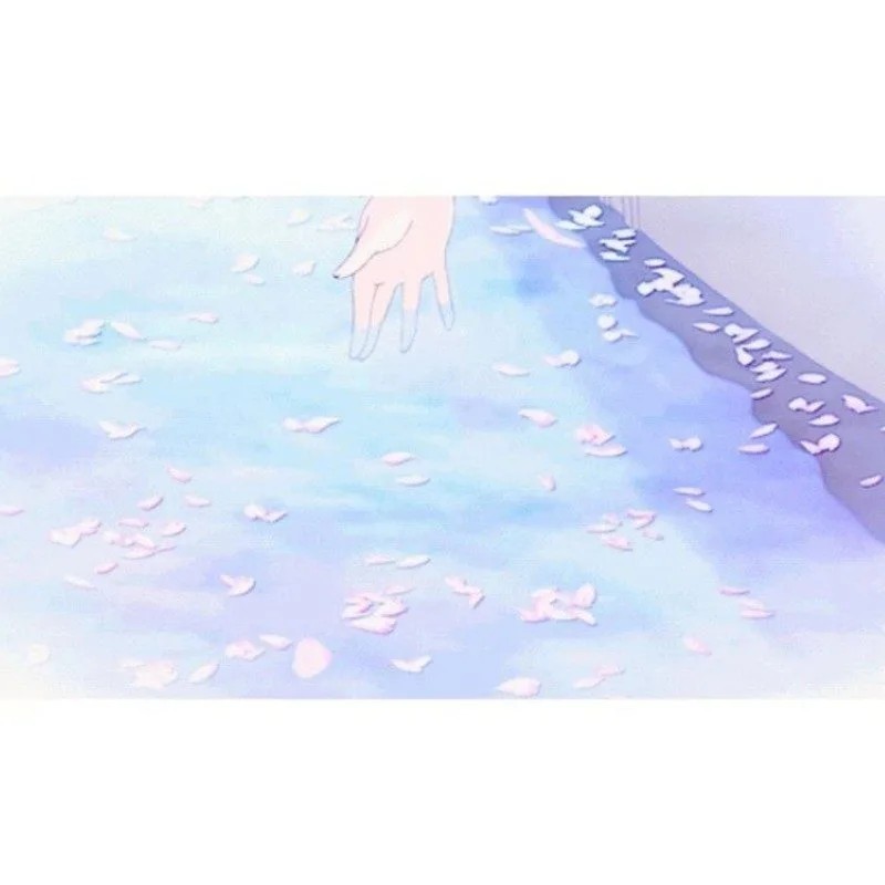 三毛