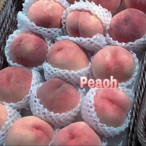 鮮花送給誰都浪漫