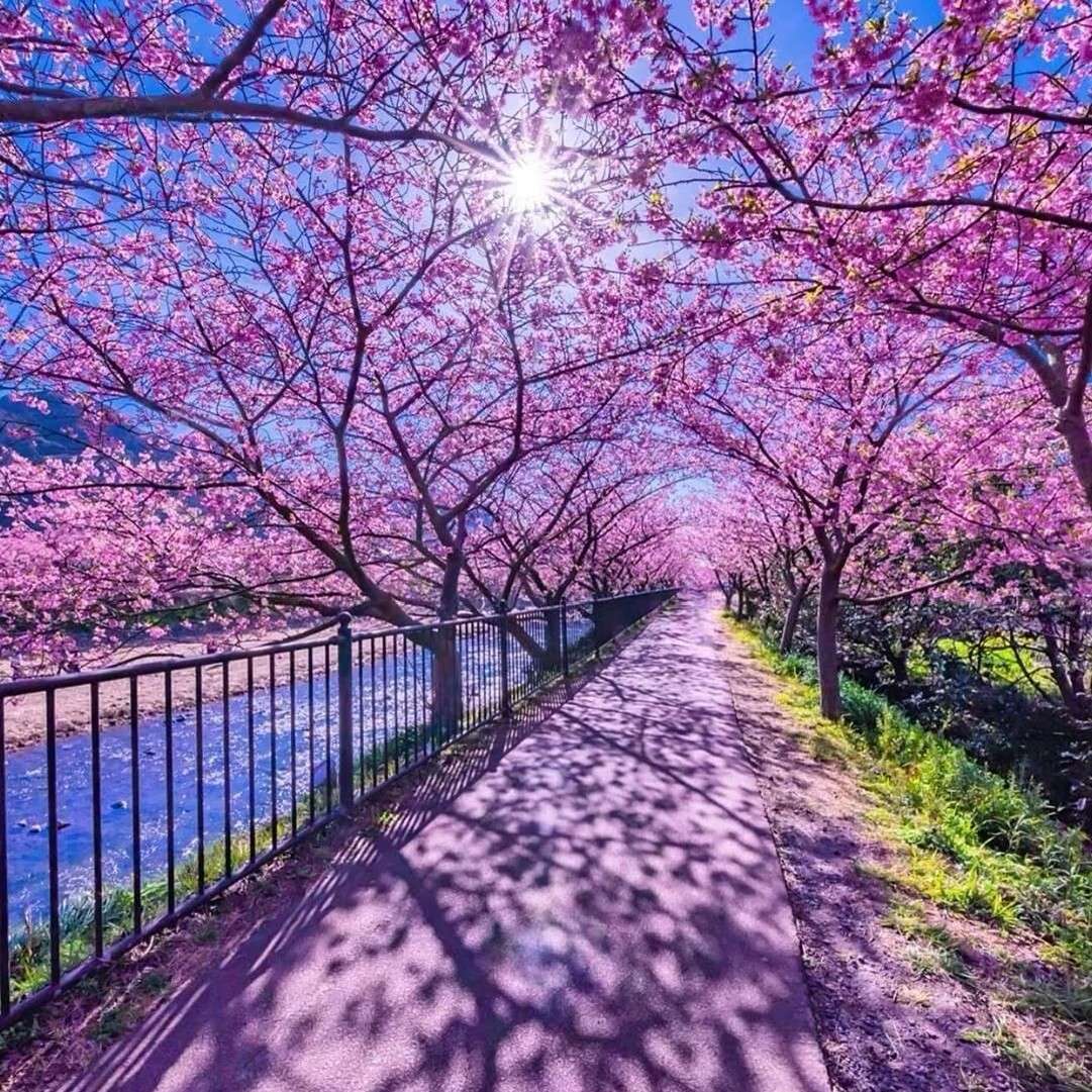 你