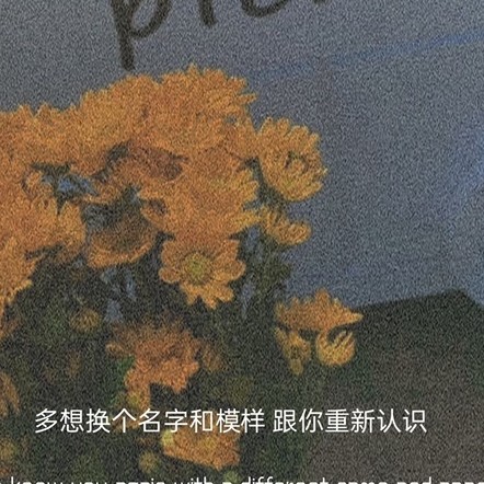 励志，情感