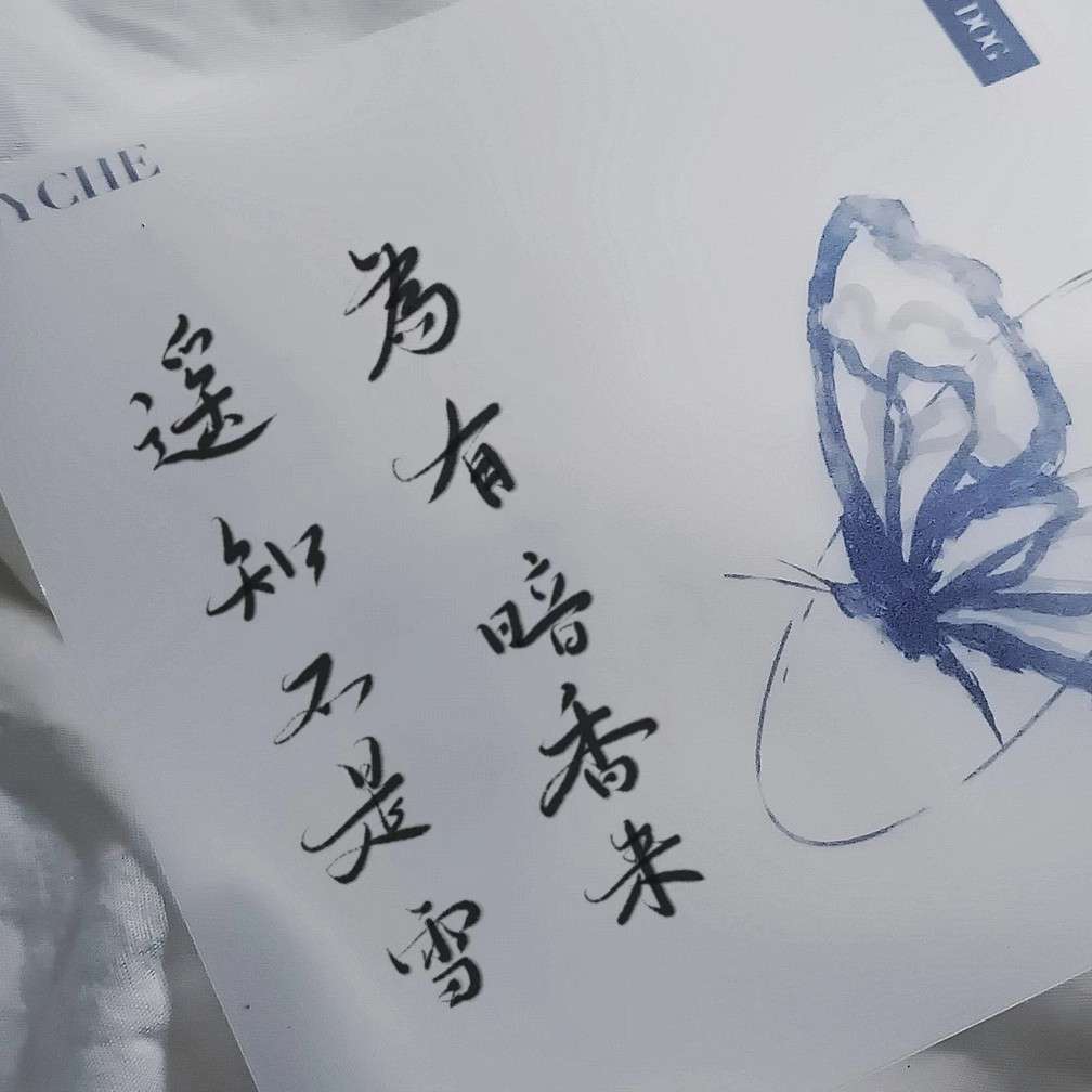 文学 / 诗词