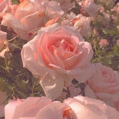 渝