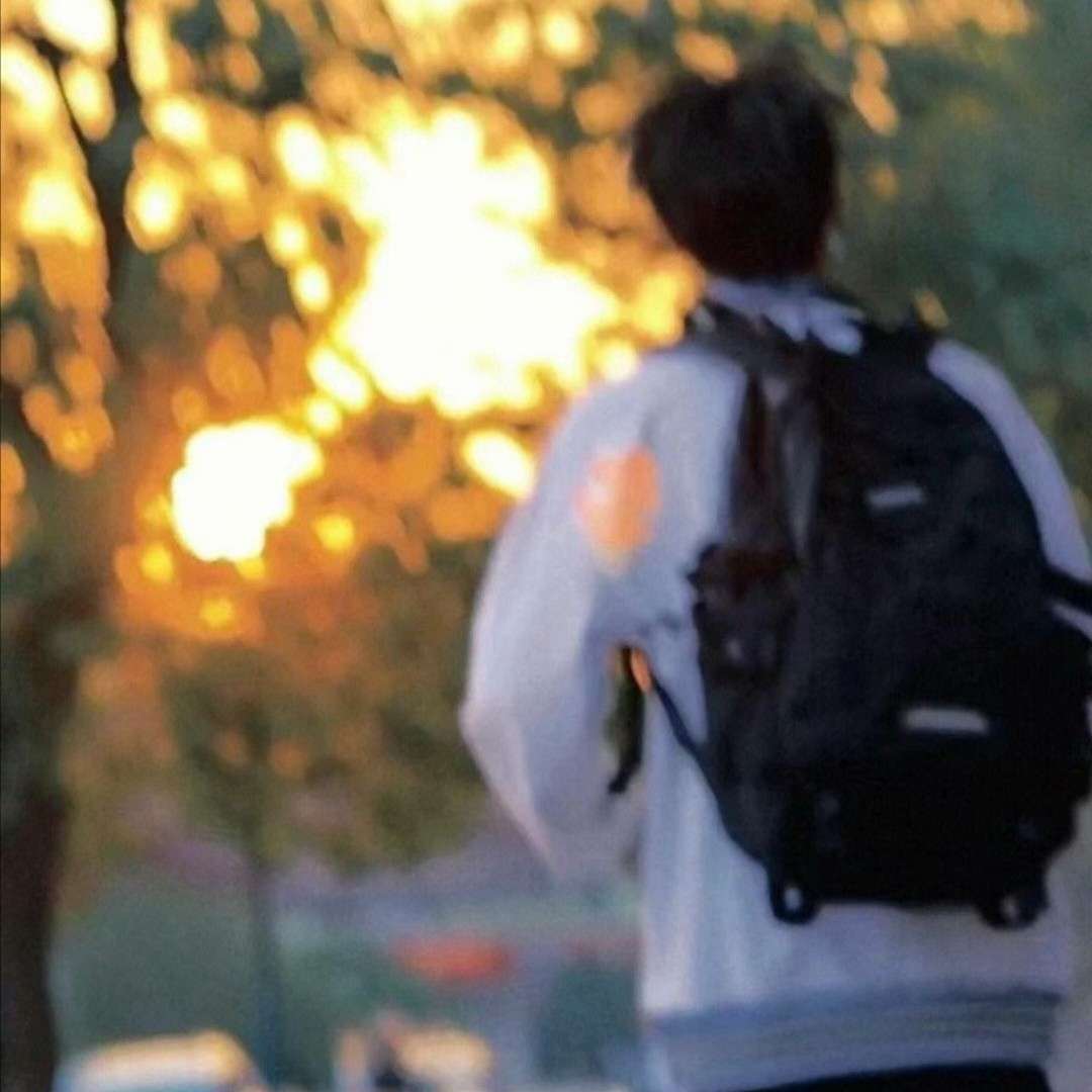 我的专辑