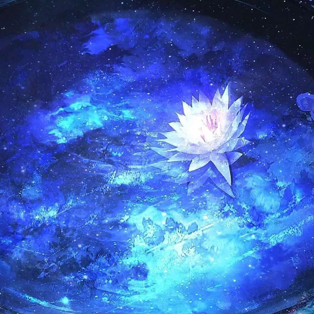 阿弋的专辑