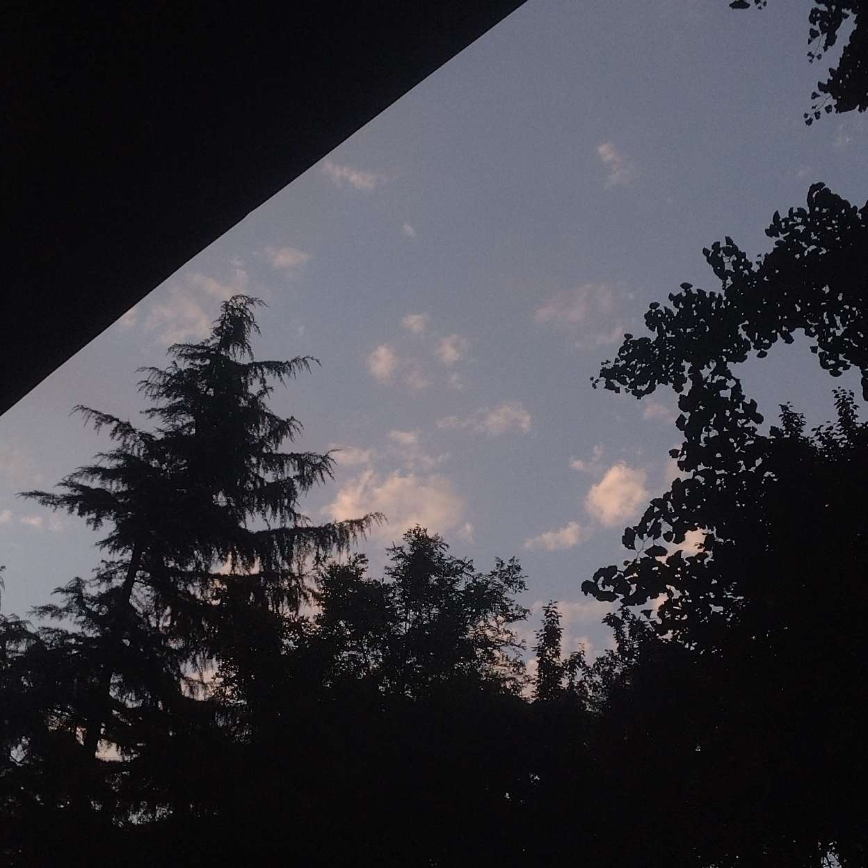emo小计