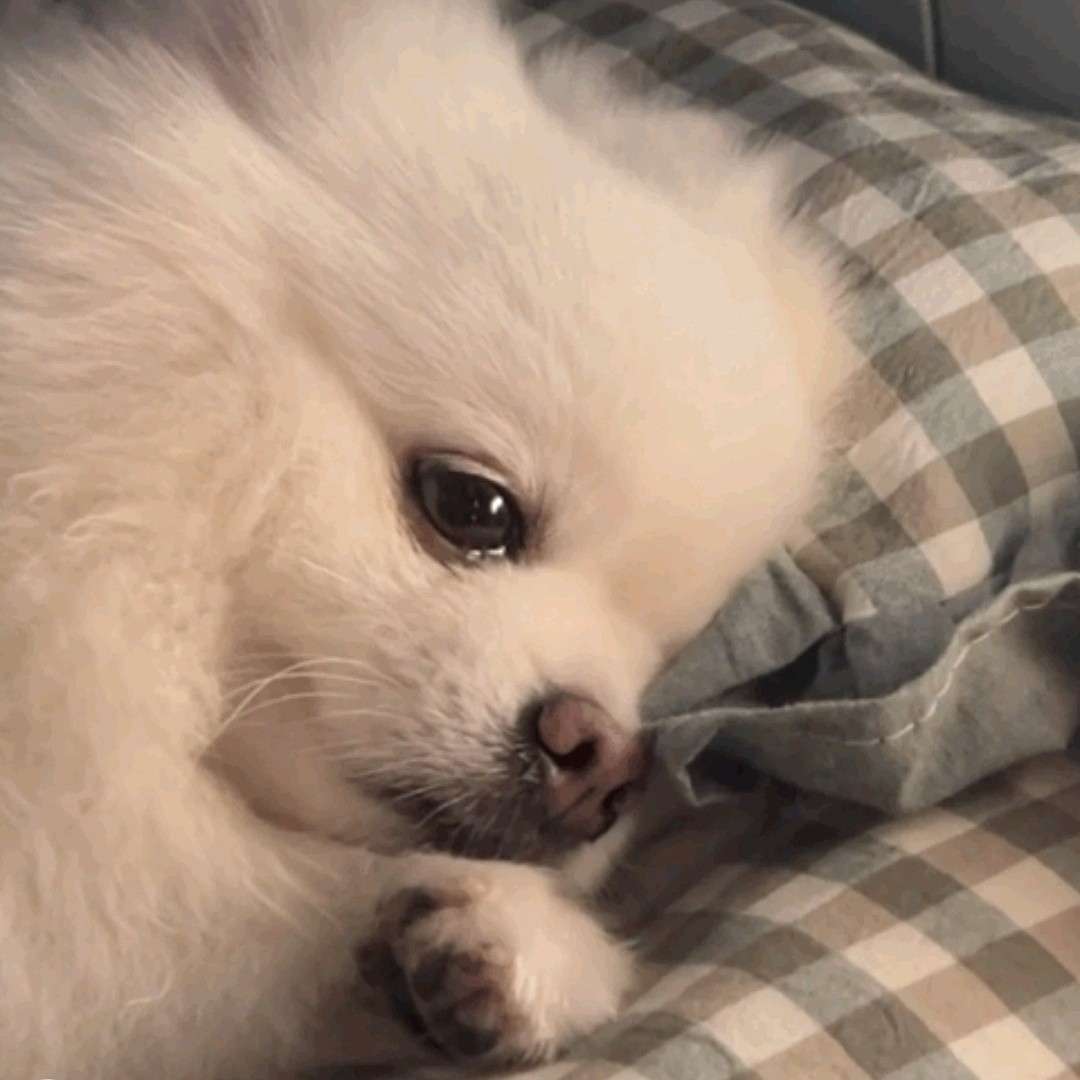 我是搞笑女
