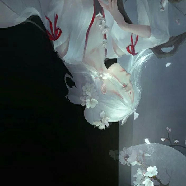 橘猫