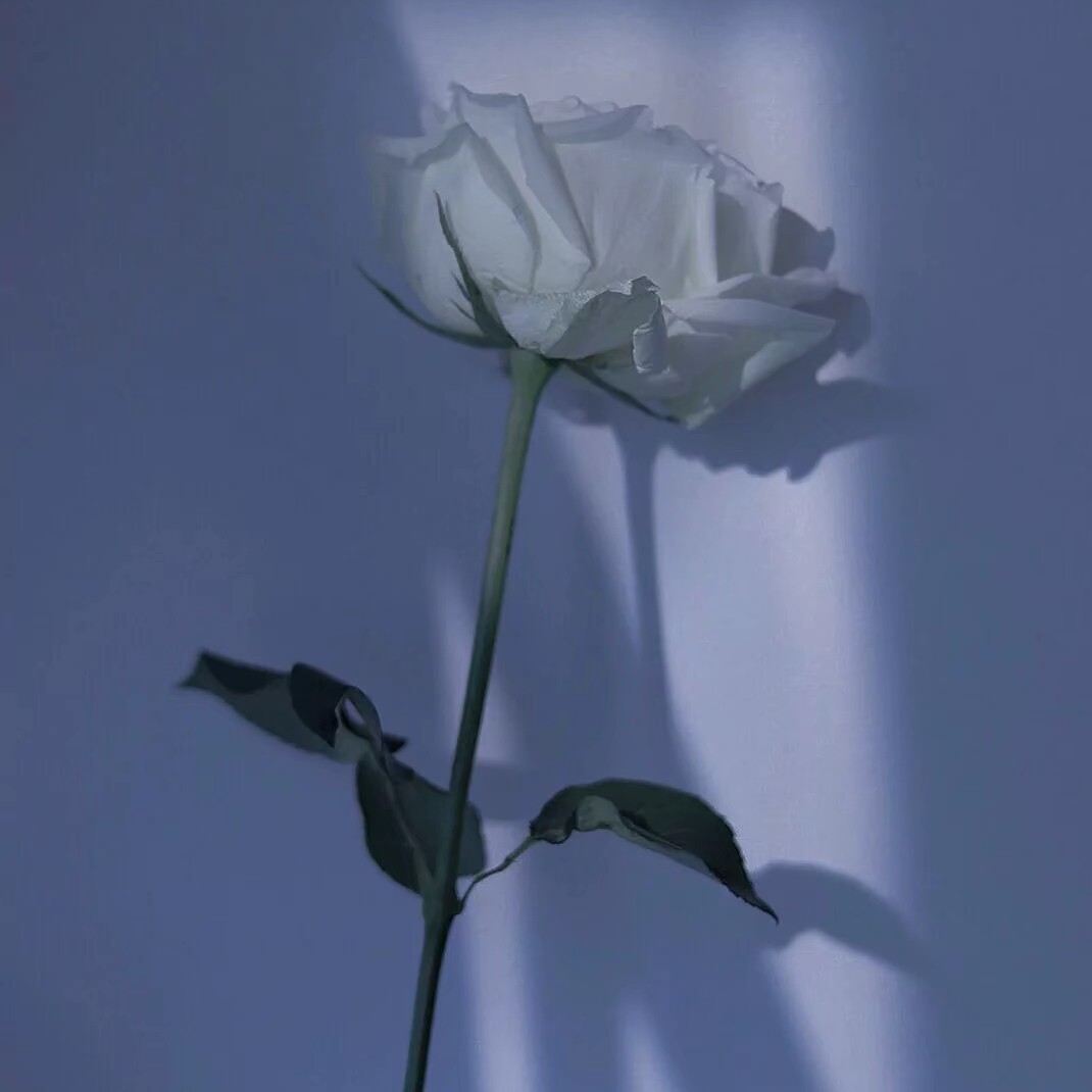花的嫁纱