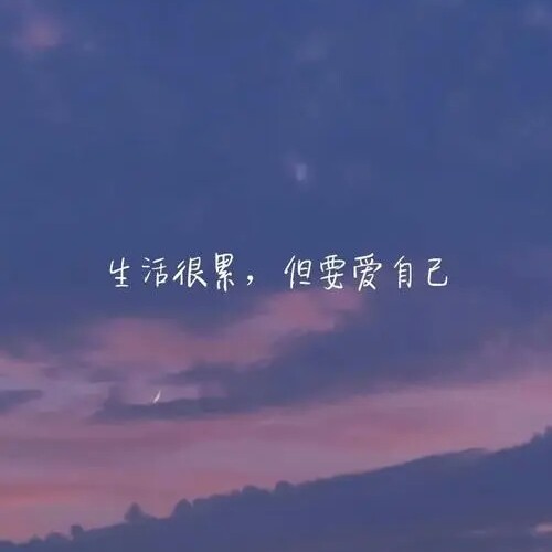 《我在人间凑数的那些年》散文集
