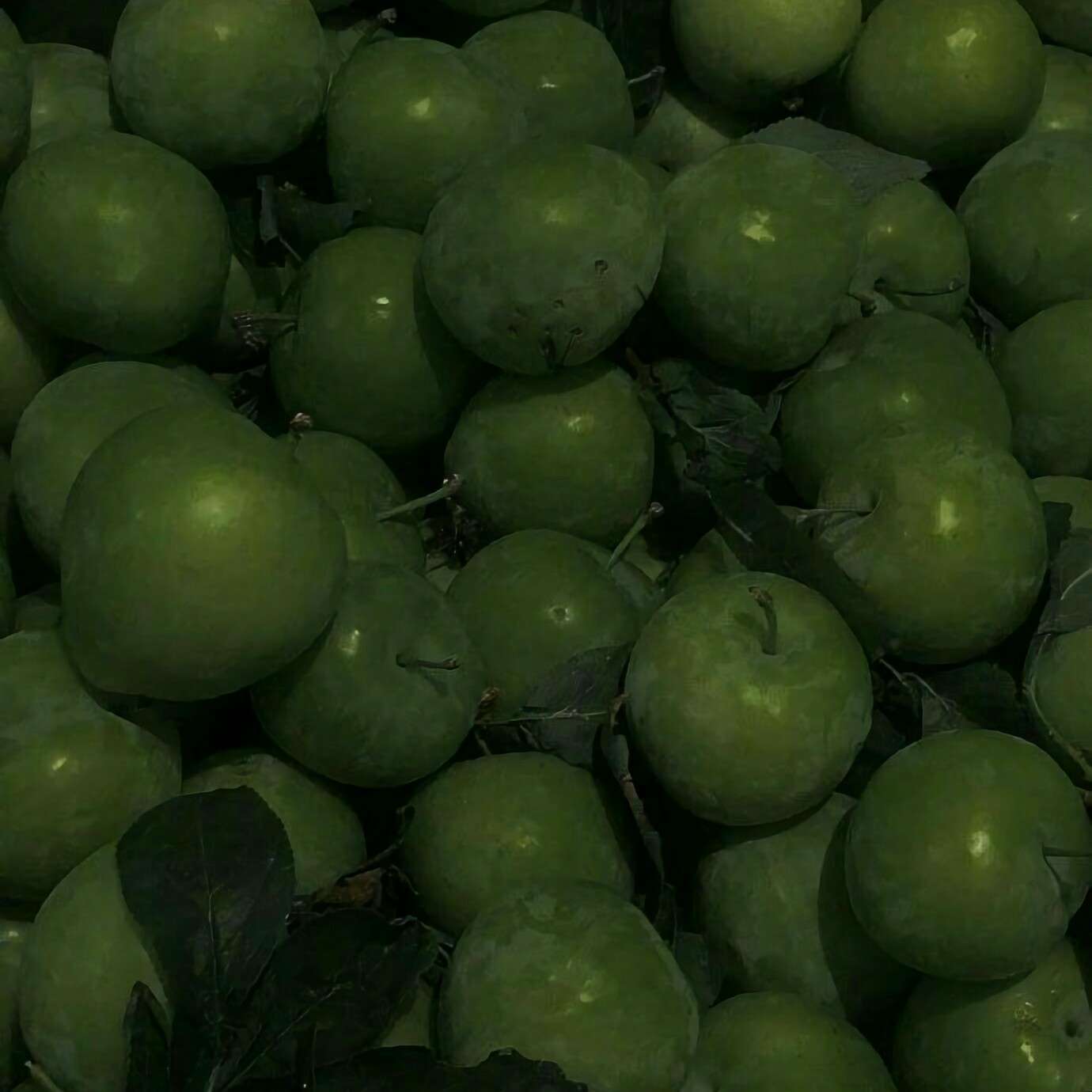 Something
