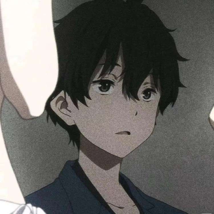 星辰の陨落