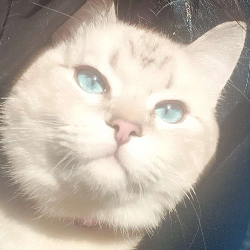 光