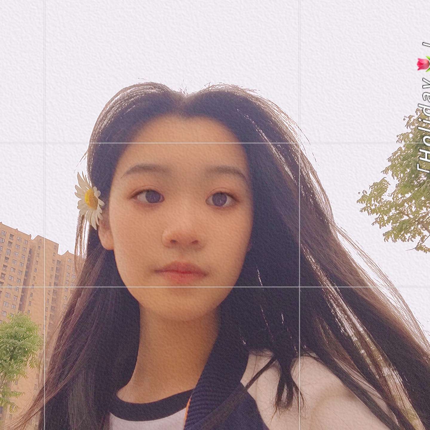 小说