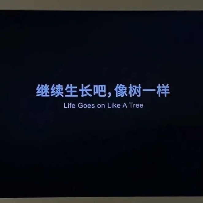 杂七杂八