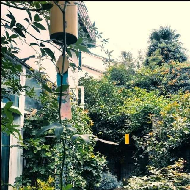 爱.