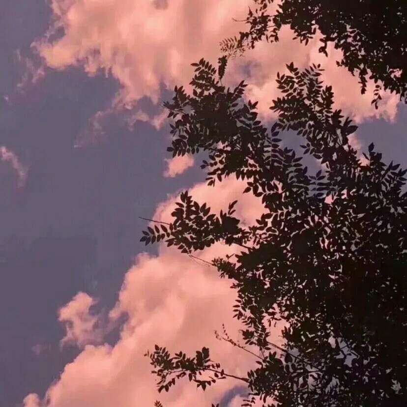 霓裳♚羽的专辑