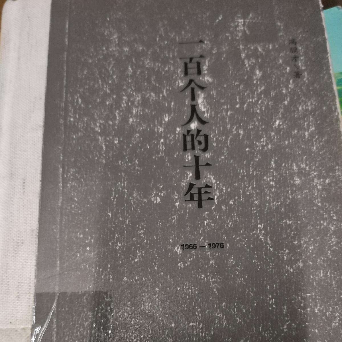 一百个人的十年