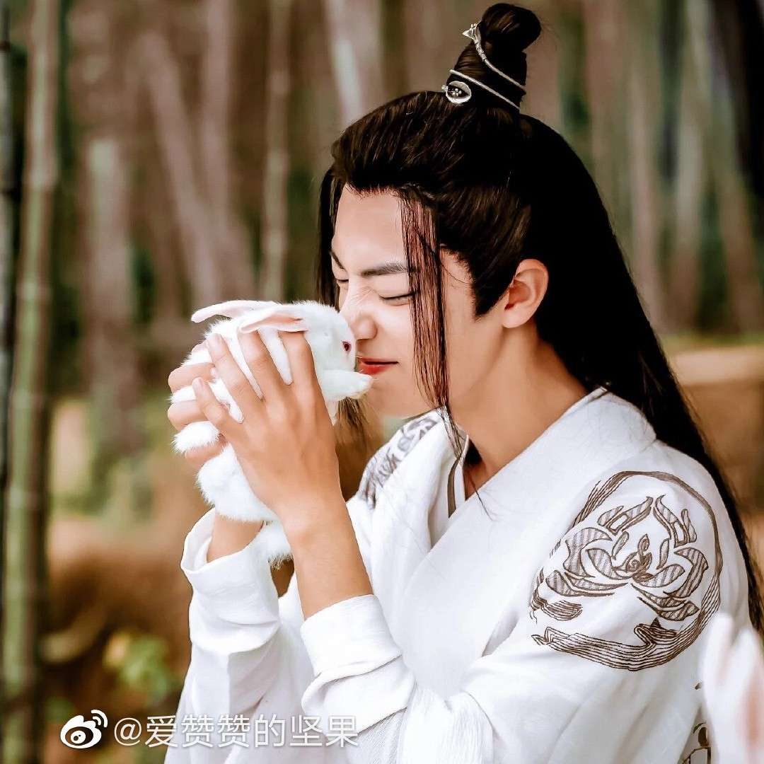 陈情令
