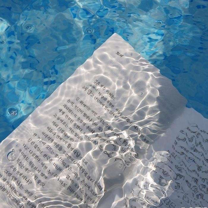 我的專輯