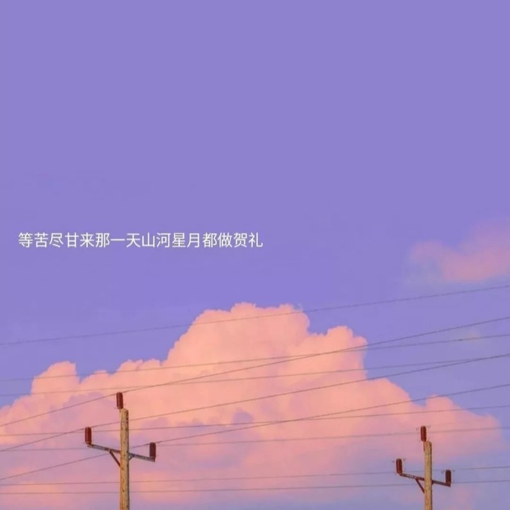 收藏