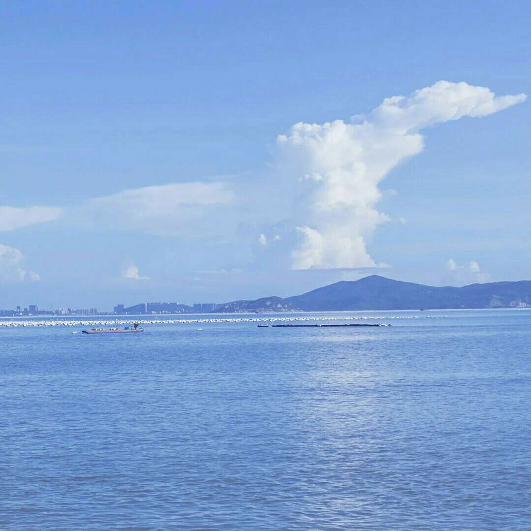 想要变成海风