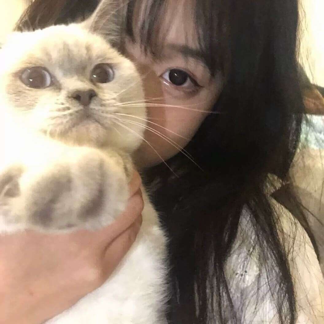 小鱼🐟文案馆