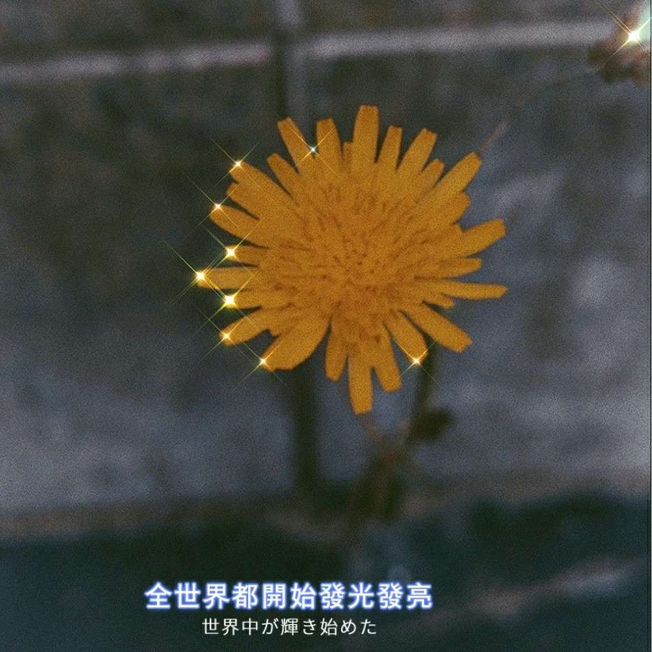 句子控✨
