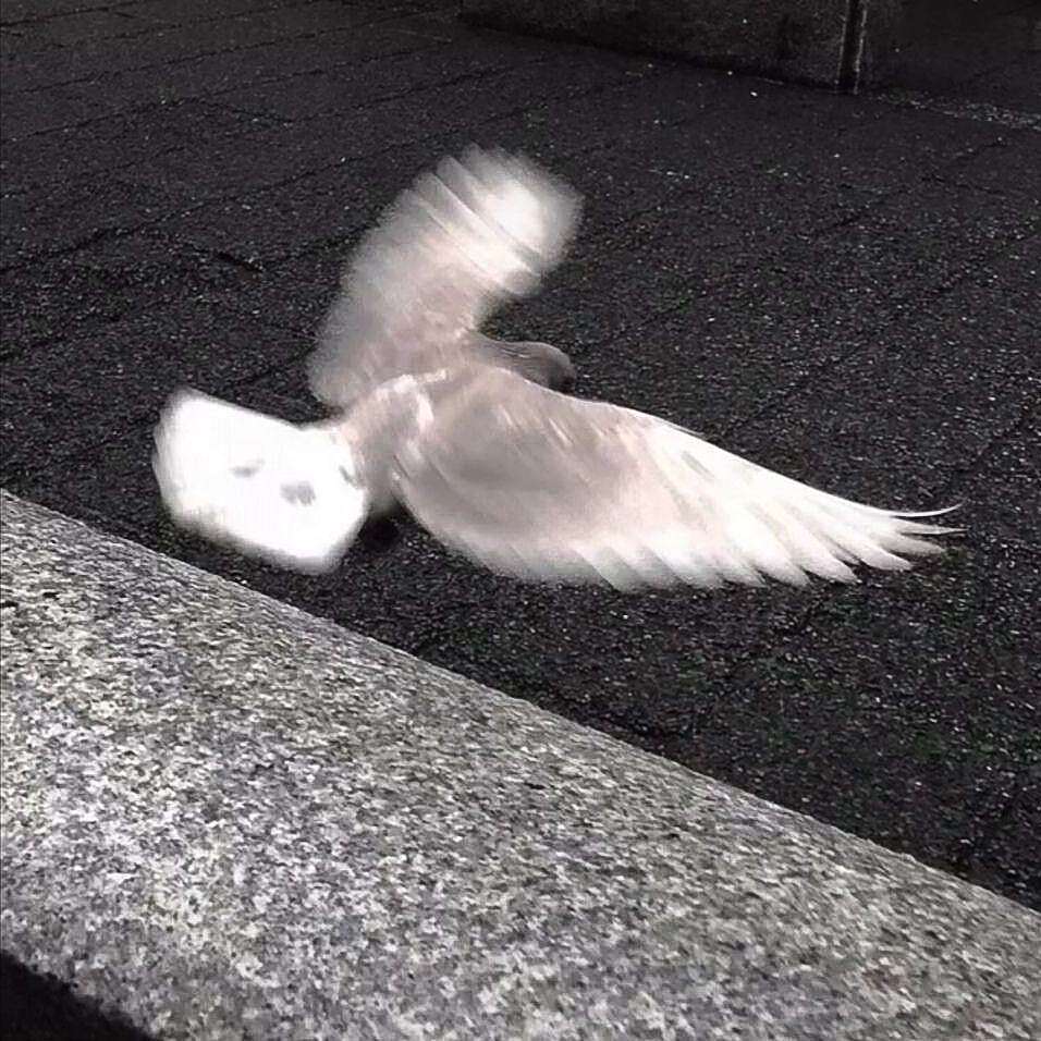 ℡