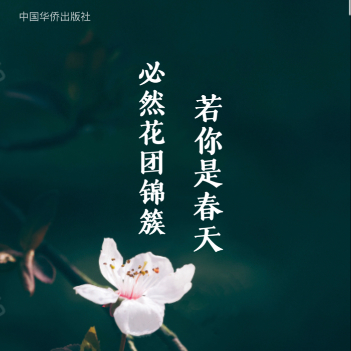 作家卢佳佳经典语录