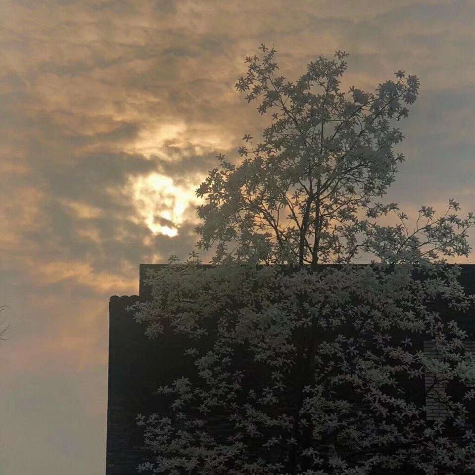 甫子寸诗集