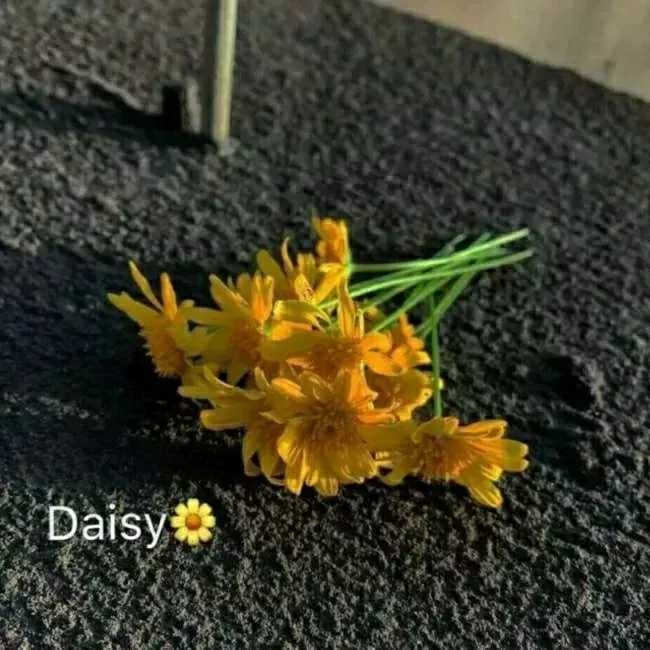 十三