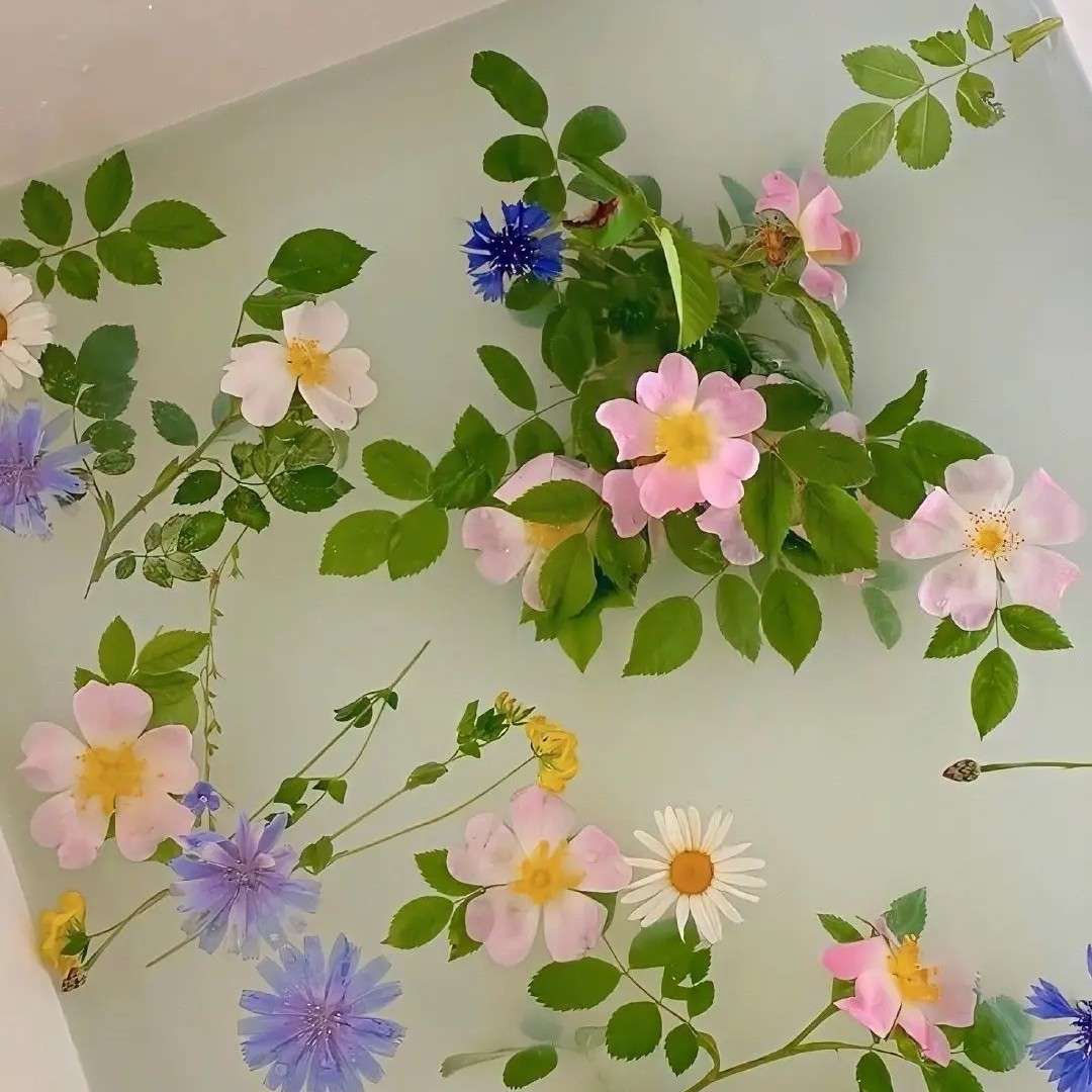日剧