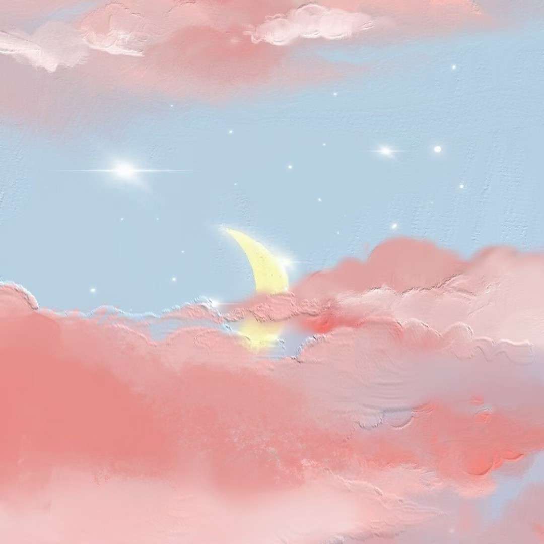 每日十句