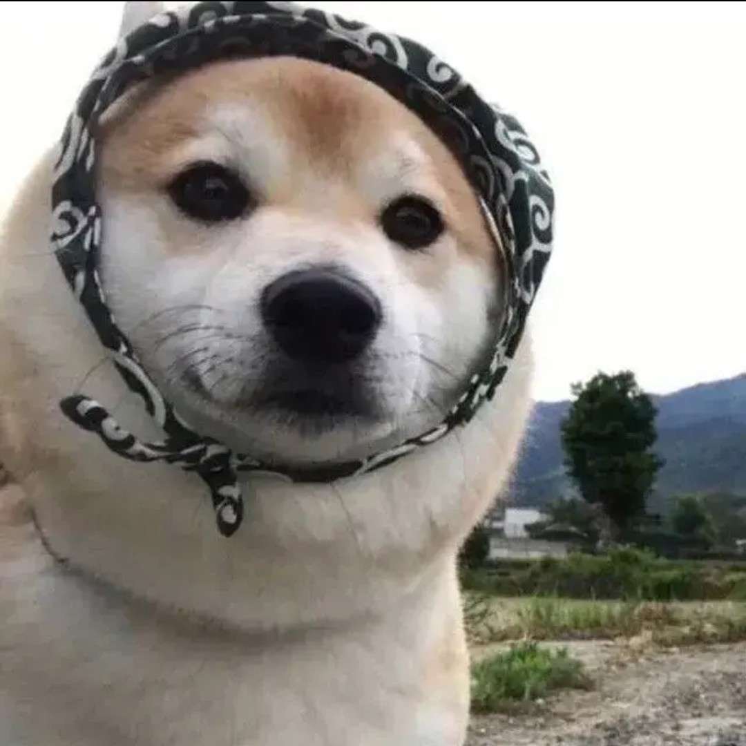 诗