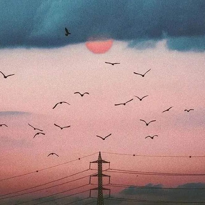 柚实的专辑