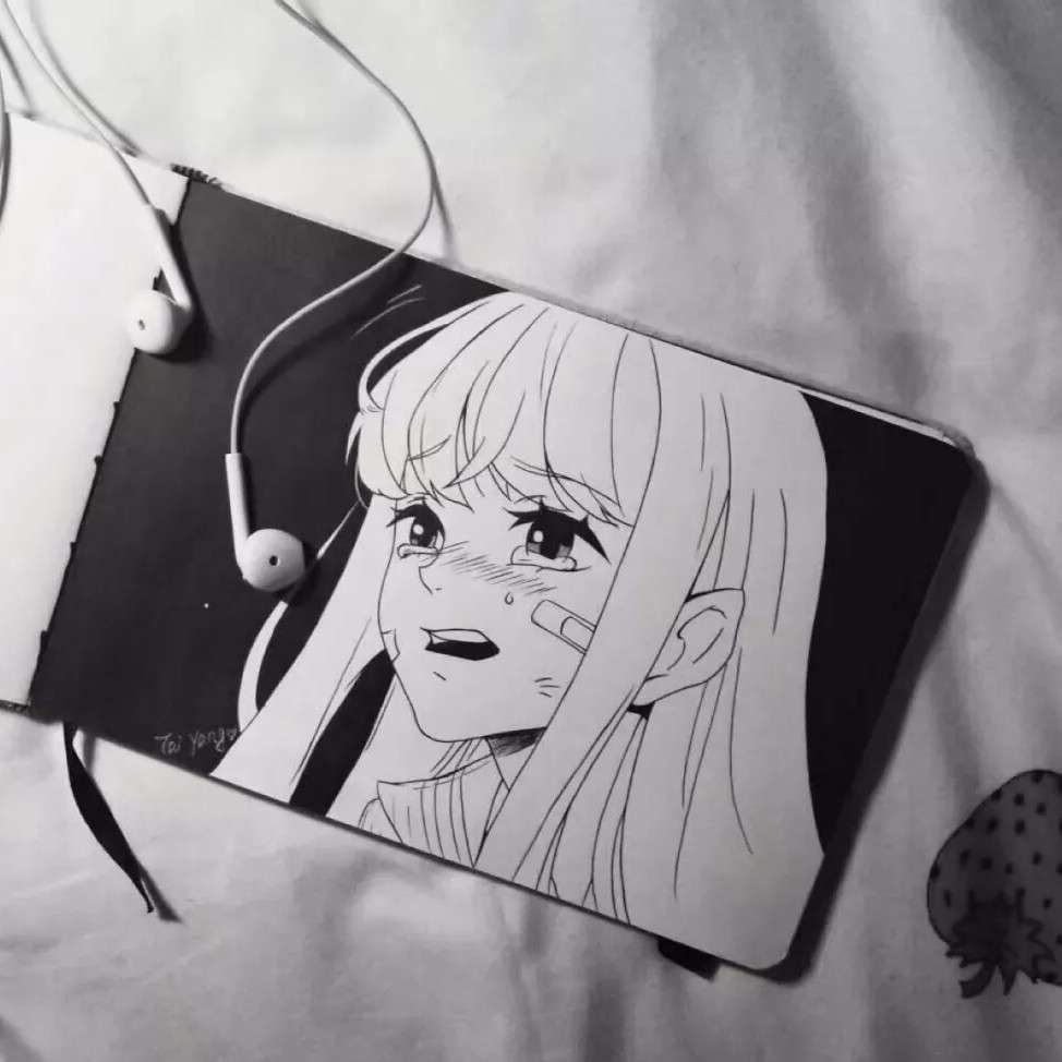 麦麦🖤