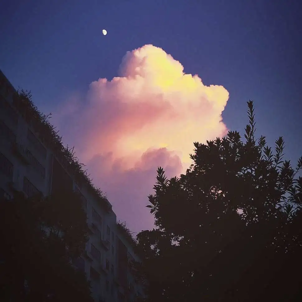 可以写进作文的神仙开头