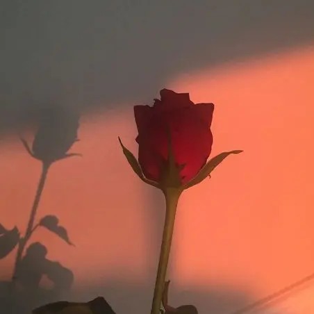 艺术的神圣