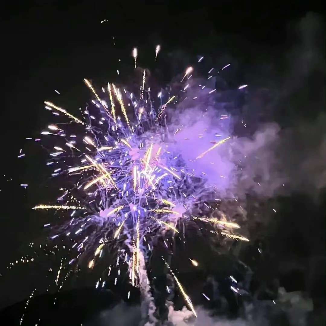 夏夏小天地🌟