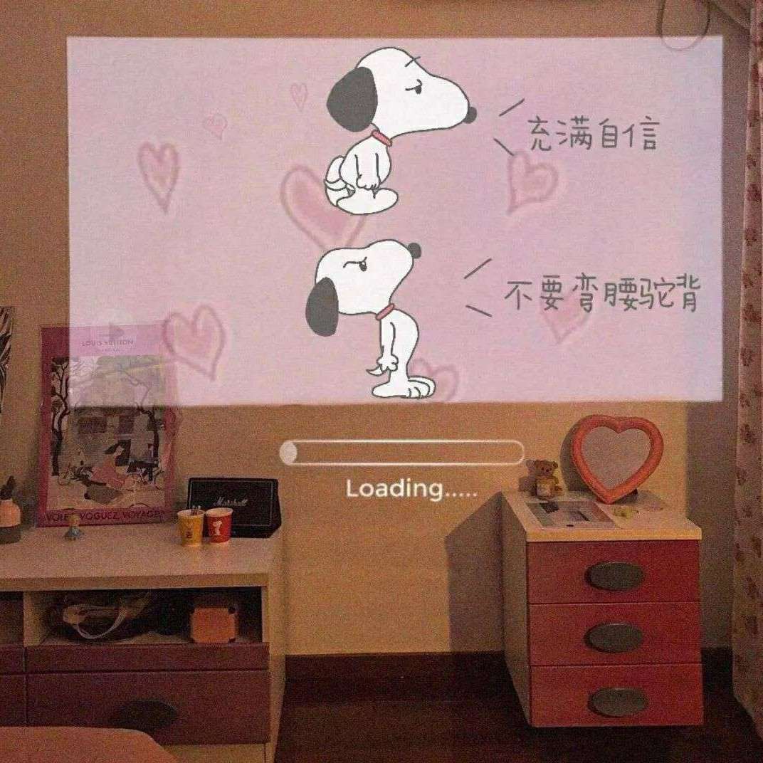 柒的专辑