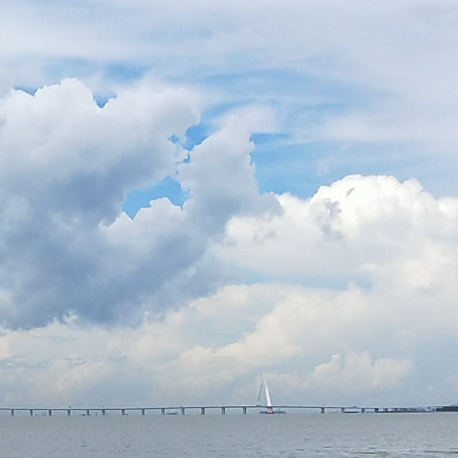 霖