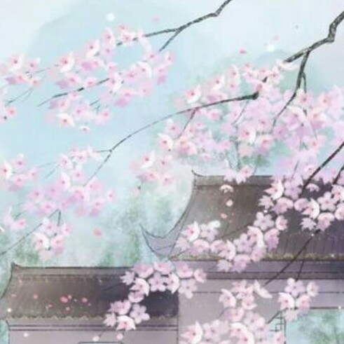 宸缘的专辑