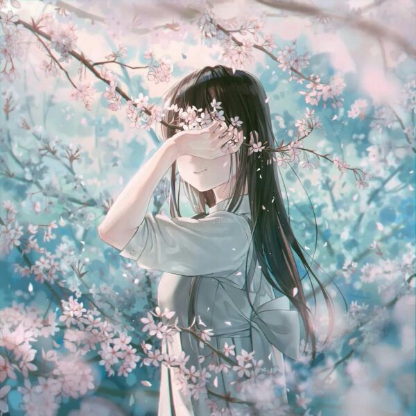 安放