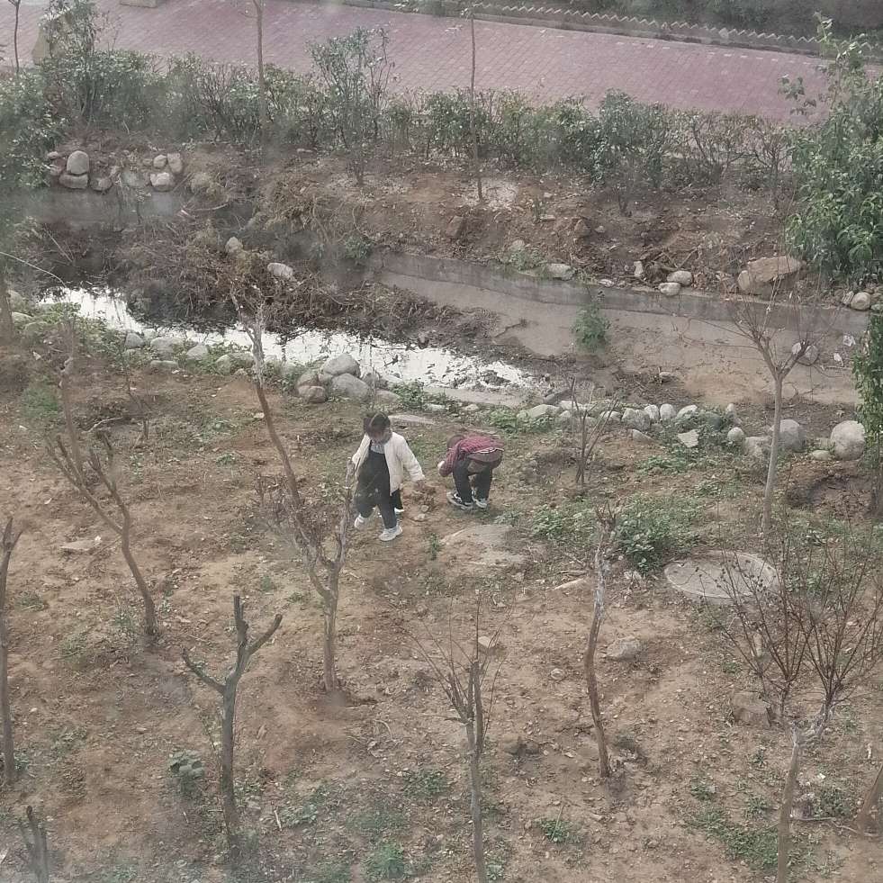 少年的专辑